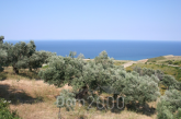 For sale:  land - Евія (5363-928) | Dom2000.com