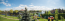 Сдам в аренду дом - ул. Старокиевская, 35, с. Козин (5842-930) | Dom2000.com #52132631