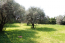 For sale hotel/resort - Rodos (4112-936) | Dom2000.com #24474717