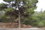 For sale:  land - Athens (5064-936) | Dom2000.com #32588322