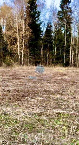 For sale:  land - Russia (10520-943) | Dom2000.com
