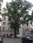 Lease 2-room apartment - Brīvības iela 142 str., Riga (3954-946) | Dom2000.com #23153223