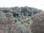 For sale:  land - Kerkyra (Corfu island) (4118-947) | Dom2000.com #24538870