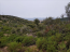 For sale:  land - Sithonia (7672-950) | Dom2000.com #51335186