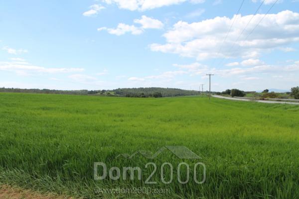 For sale:  land - Chalkidiki (4934-954) | Dom2000.com