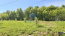 For sale:  land - Приозёрная улица, 1 str., д. Semibratskoe (10564-956) | Dom2000.com #76662407
