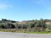 Продам земельный участок - Керкира (Корфу) (4118-958) | Dom2000.com