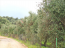 For sale:  land - Kerkyra (Corfu island) (4118-958) | Dom2000.com #24538975