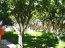 For sale:  home - Attiki (4934-960) | Dom2000.com #31467621