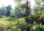 For sale:  land - Sithonia (4116-962) | Dom2000.com #24517752