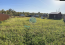 For sale:  land - Вязовая улица str., с. Konstantinovo (10520-963) | Dom2000.com #76210319