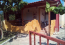 For sale:  home - Asprovaltа (7771-963) | Dom2000.com #52096979