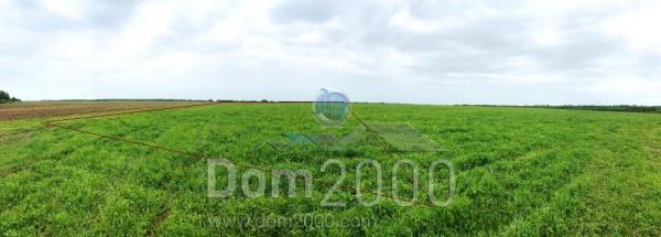 For sale:  shop - д. Nizhnee Pikalovo (10581-968) | Dom2000.com