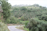 For sale:  land - Kerkyra (Corfu island) (4116-970) | Dom2000.com