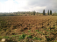 For sale:  land - Kassandra (4119-972) | Dom2000.com #24547751