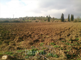 For sale:  land - Kassandra (4119-972) | Dom2000.com