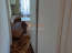 Lease 3-room apartment - улица Кулика, Herson city (10141-974) | Dom2000.com #71897846