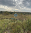 For sale:  shop - д. Aksinkino (10520-974) | Dom2000.com #76204725