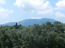 For sale:  home - Kerkyra (Corfu island) (4116-975) | Dom2000.com #24517903