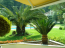 For sale:  home - Kassandra (4367-976) | Dom2000.com #26288394