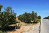 For sale:  land - Chalkidiki (5777-977) | Dom2000.com