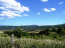 For sale:  land - Chalkidiki (4111-978) | Dom2000.com #24464477