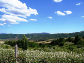 For sale:  land - Chalkidiki (4111-978) | Dom2000.com