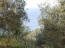 For sale:  land - Kerkyra (Corfu island) (4118-980) | Dom2000.com #24539153