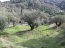 For sale:  land - Kerkyra (Corfu island) (4118-981) | Dom2000.com #24539158