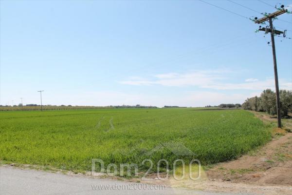 For sale:  land - Chalkidiki (4934-981) | Dom2000.com