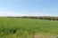 For sale:  land - Chalkidiki (4934-981) | Dom2000.com #31467794