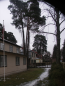 For sale:  home - Siguldas prospekts 3 str., Jurmala (3947-984) | Dom2000.com #23104959