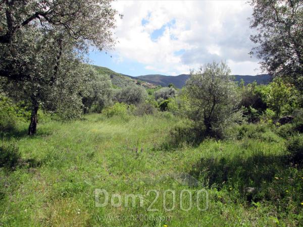Продам земельный участок - Тасос (4117-984) | Dom2000.com