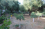 For sale:  shop - Kerkyra (Corfu island) (5135-987) | Dom2000.com #33115340