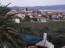 For sale:  shop - Athos (4118-992) | Dom2000.com #29901261