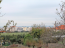 For sale:  land - Chalkidiki (4119-992) | Dom2000.com #24547929