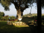 For sale:  home - Kassandra (4934-993) | Dom2000.com #31467937