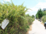 For sale:  land - Pelloponese (4116-996) | Dom2000.com #24518045