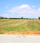 For sale:  land - Chalkidiki (4120-996) | Dom2000.com