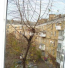 Сдам в аренду однокомнатную квартиру - Хорива, 43, Подольский (9177-998) | Dom2000.com #62658251